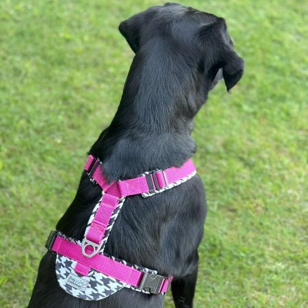 Brustgeschirr "Frieda"